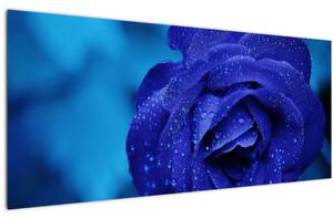 Obraz modrej ruže (120x50 cm)