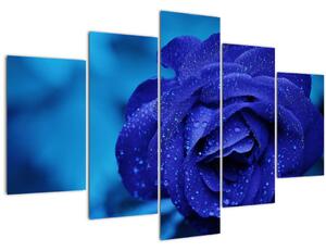 Obraz modrej ruže (150x105 cm)