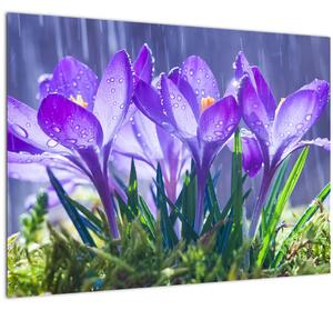 Obraz kvetov v daždi (70x50 cm)