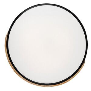 Rabalux MAPLE LED stropné svietidlo 3528