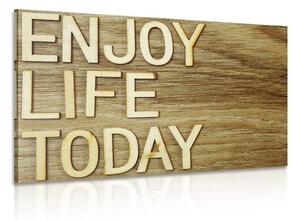 Obraz s citátom - Enjoy life today