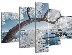 Obraz zasneženého stromu pri vode (150x105 cm)