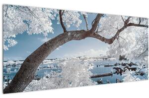 Obraz zasneženého stromu pri vode (120x50 cm)