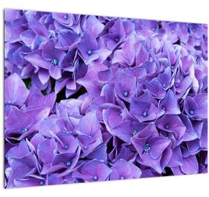 Obraz fialových kvetov (70x50 cm)