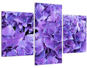 Obraz fialových kvetov (90x60 cm)