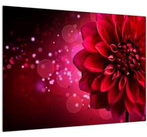 Obraz červené kvety (70x50 cm)