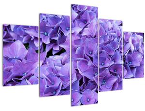 Obraz fialových kvetov (150x105 cm)