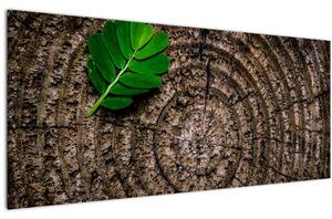 Obraz listu na kmeni stromu (120x50 cm)