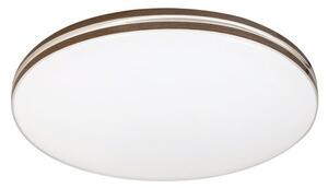 Rabalux OSCAR2 LED stropné svietidlo 71173
