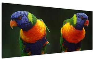 Obraz papagájov (120x50 cm)