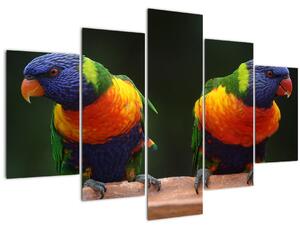 Obraz papagájov (150x105 cm)