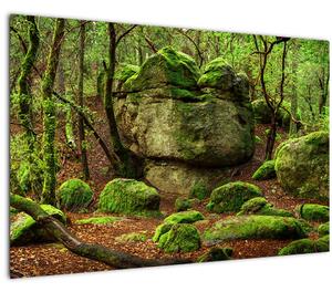 Obraz čarovného lesa (90x60 cm)