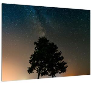 Obraz nočnej oblohy so stromami (70x50 cm)