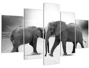 Obraz slonov (150x105 cm)