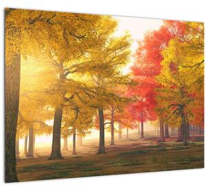 Obraz jesenných stromov (70x50 cm)