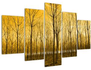 Obraz lesa pri západe slnka (150x105 cm)