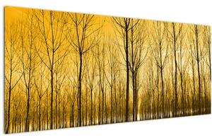 Obraz lesa pri západe slnka (120x50 cm)