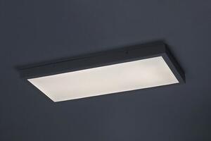Rabalux DAMEK2 LED stropné svietidlo 71077