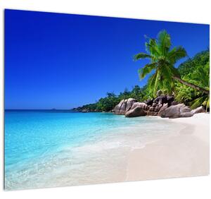 Obraz pláže na Praslin ostrove (70x50 cm)