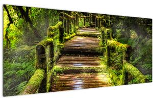 Obraz schodov v dažďovom pralese (120x50 cm)
