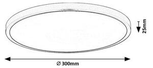 Rabalux PAULOS LED stropné svietidlo 71073