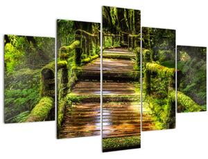 Obraz schodov v dažďovom pralese (150x105 cm)