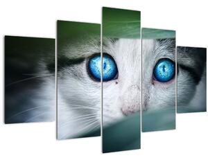 Obraz mačky (150x105 cm)