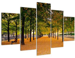 Obraz aleje jesenných stromov (150x105 cm)