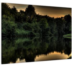 Obraz jazera pri lese (70x50 cm)