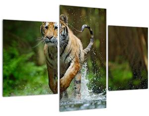 Obraz bežiaceho tigra (90x60 cm)
