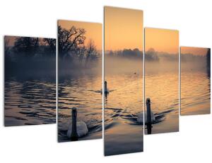 Obraz labutí na vode v hmle (150x105 cm)