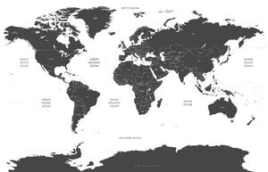 Obraz mapa sveta s jednotlivými štátmi v sivej farbe