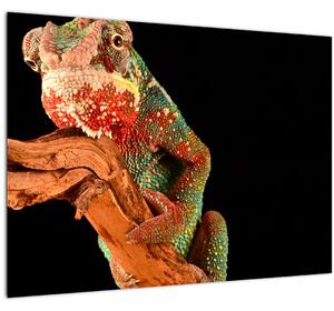 Obraz chameleóna na vetve (70x50 cm)