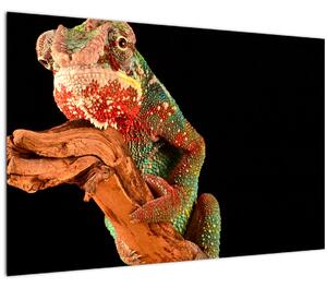 Obraz chameleóna na vetve (90x60 cm)