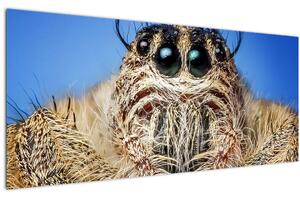 Obraz detailu pavúka (120x50 cm)