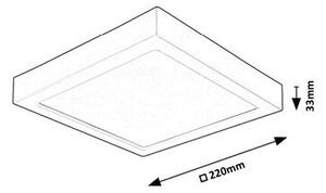 Rabalux SHAUN2 LED stropné svietidlo 71203