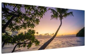 Obraz palmy na pláži (120x50 cm)