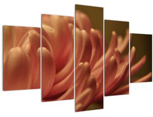 Obraz detailu kvety (150x105 cm)