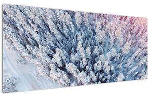 Obraz zasnežených stromov (120x50 cm)