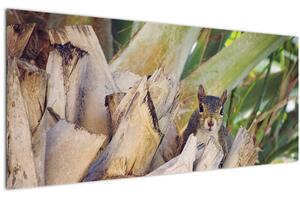 Obraz veveričky na strome (120x50 cm)