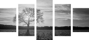5-dielny obraz osamelého stromu v čiernobielom prevedení