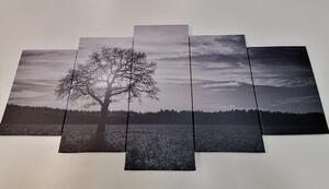 5-dielny obraz osamelého stromu v čiernobielom prevedení