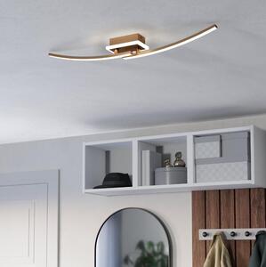 Eglo 901219 - LED Stropné svietidlo LUNGOLAGO LED/12W/230V 4000K medená