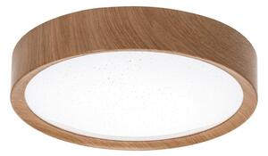 Aigostar - LED Stropné svietidlo LED/12W/230V 3000K pr. 26,3 cm