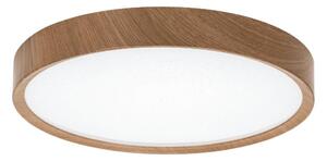 Aigostar - LED Stropné svietidlo LED/20W/230V 3000K pr. 33,7 cm