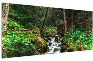 Obraz potoka v lese (120x50 cm)