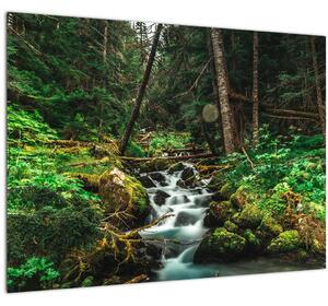 Obraz potoka v lese (70x50 cm)