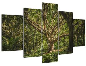 Obraz stromov (150x105 cm)