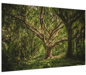 Obraz stromov (90x60 cm)