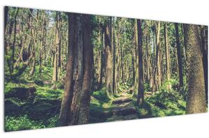 Obraz cesty medzi stromami (120x50 cm)